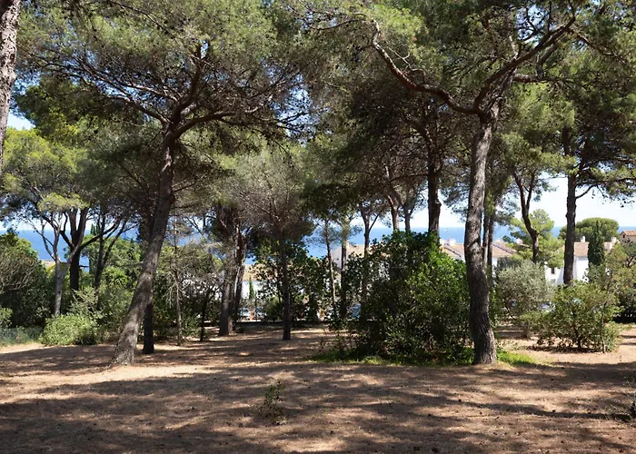 Ca La Irene Ii *