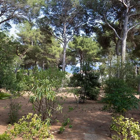 Ca La Irene Ii